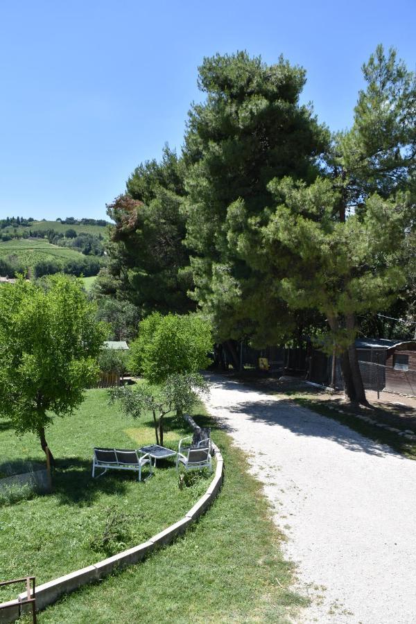 Fattoria Country Village Montecarotto エクステリア 写真